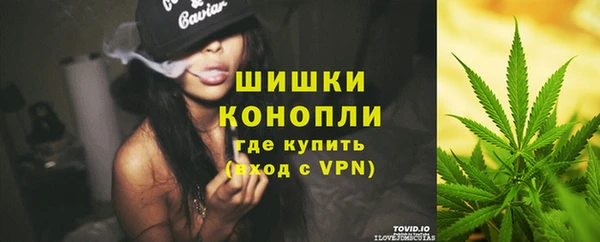 крисы Ахтубинск