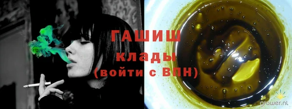 стаф Кулебаки