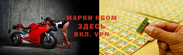 стаф Кулебаки