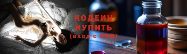 стаф Кулебаки