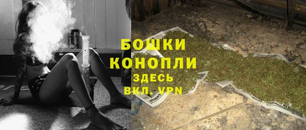 шишки Ладушкин