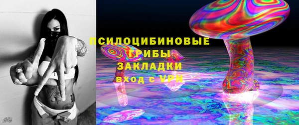 стаф Кулебаки