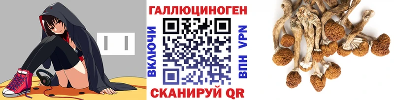 Галлюциногенные грибы MAGIC MUSHROOMS  Кудымкар 
