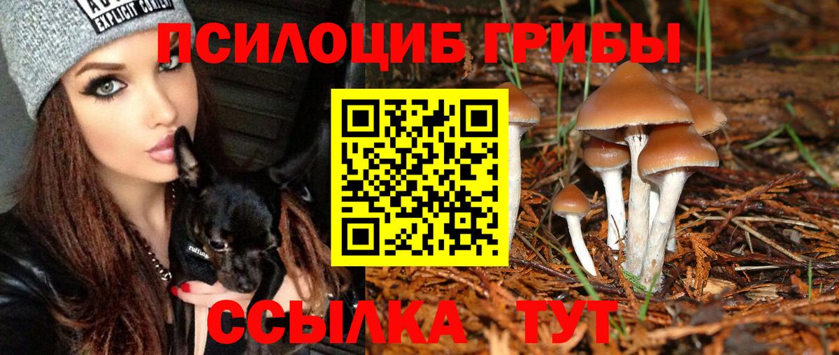 Кудымкар  Галлюциногенные грибы мухоморы  Вход с VPN 