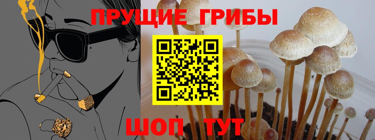 Галлюциногенные грибы мухоморы Кудымкар